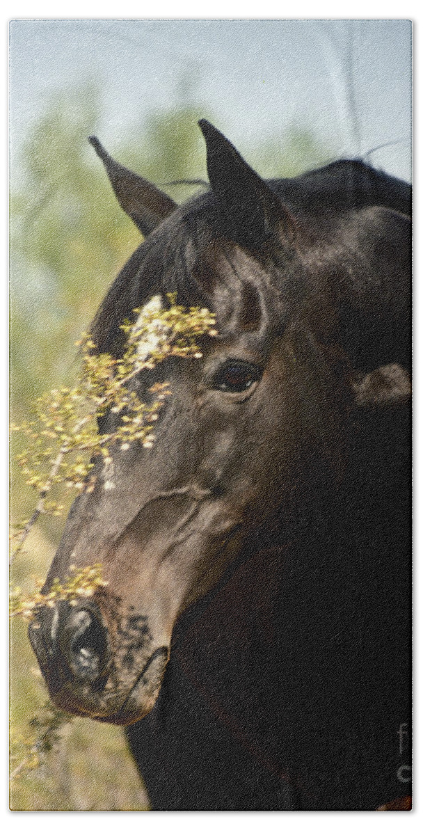 Horse Bath Towel featuring the photograph Portrait of a Thoroughbred by Kathy McClure