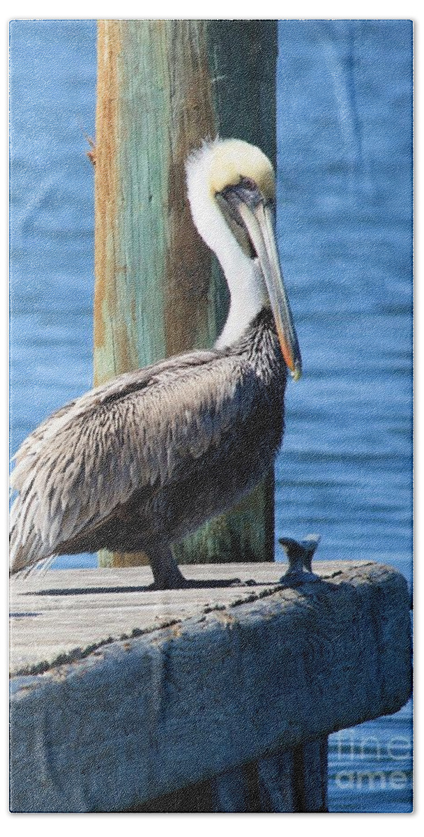Animal Hand Towel featuring the photograph Posing Pelican by Carol Groenen