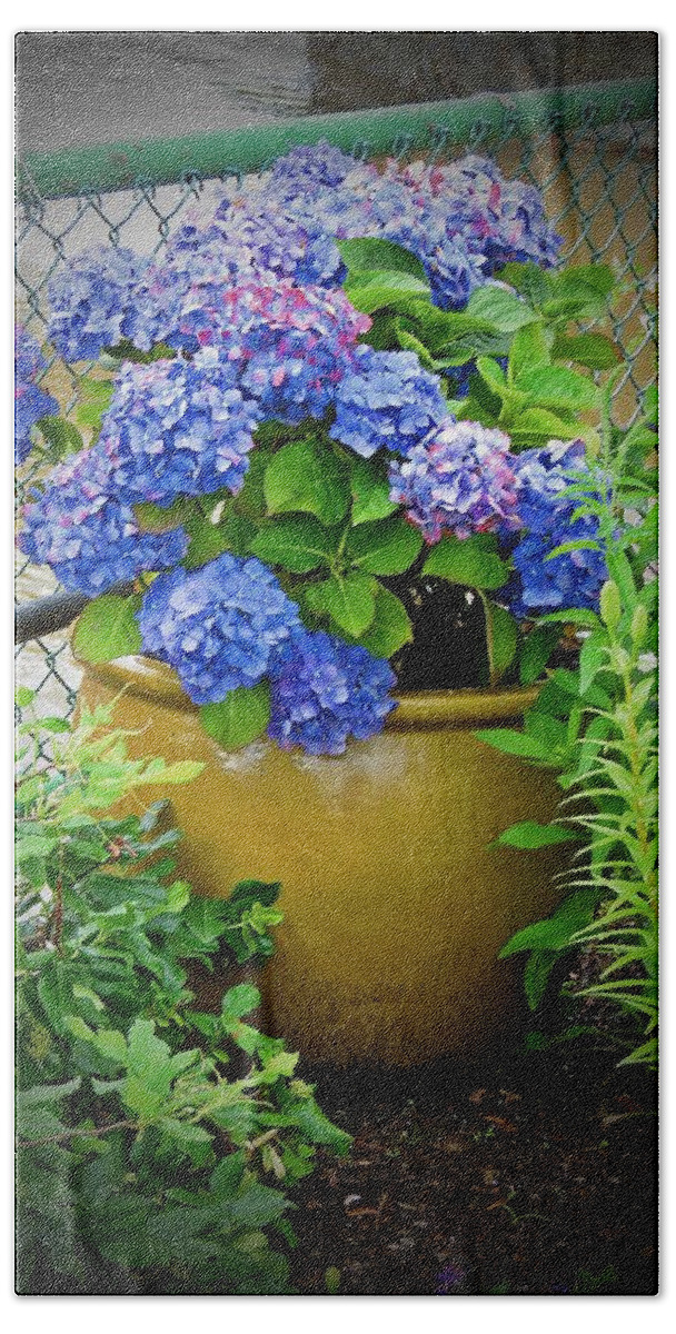 Potted Hydrangea Hand Towel featuring the photograph Potted Hydrangea by MTBobbins Photography
