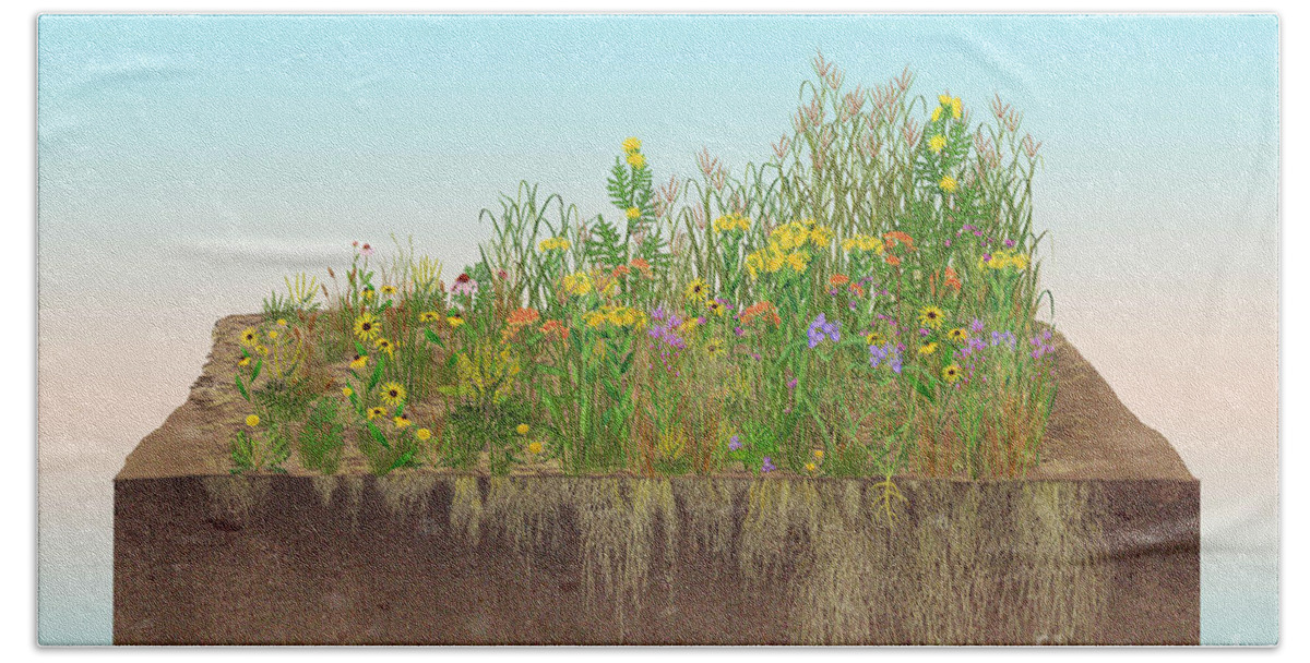Prairie Bath Towel featuring the photograph Prairie Plants Succession, Illustration by Carlyn Iverson
