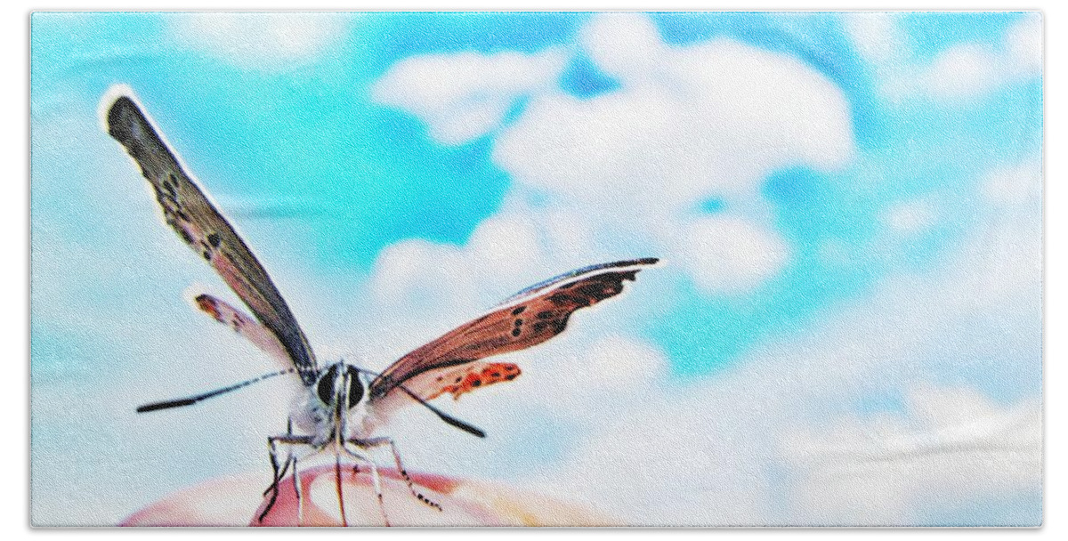 Butterfly Hand Towel featuring the photograph Precious Moment by Marianna Mills