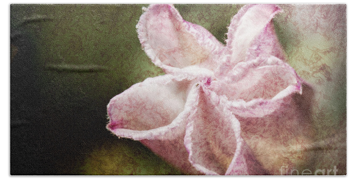 Los Osos Hand Towel featuring the photograph Pretty In Pink Texture by Timothy Hacker