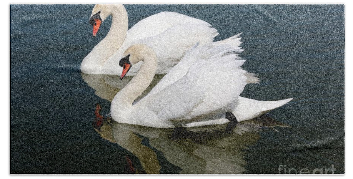 Swan Hand Towel featuring the photograph Pretty Swan Pair by Carol Groenen