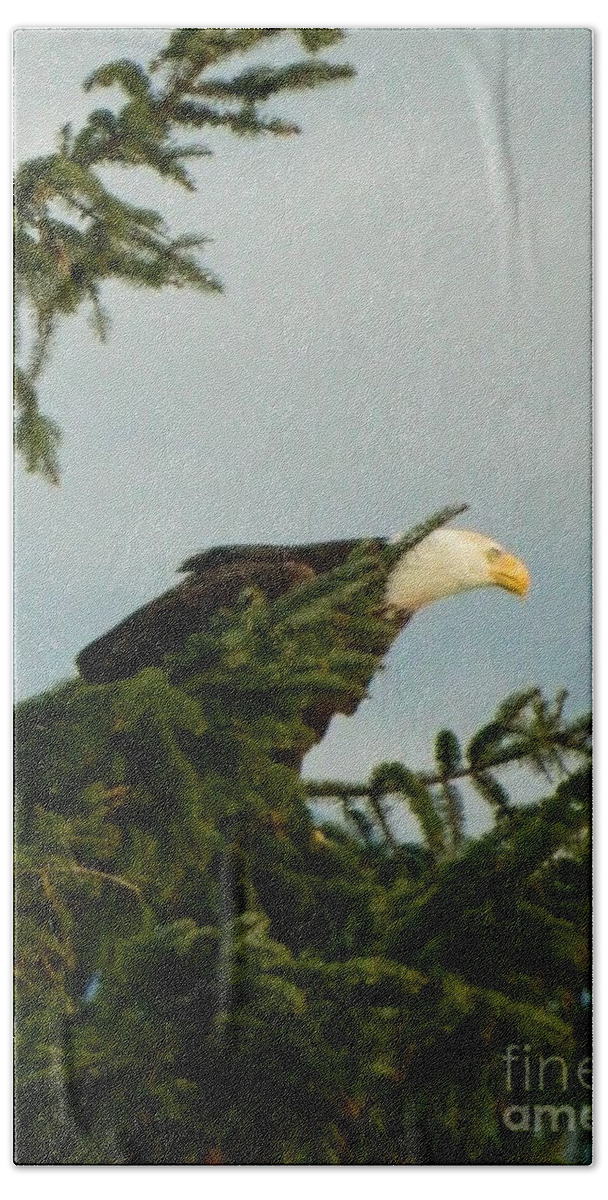 Eagle Bath Towel featuring the photograph Prey Spotted by Gallery Of Hope 
