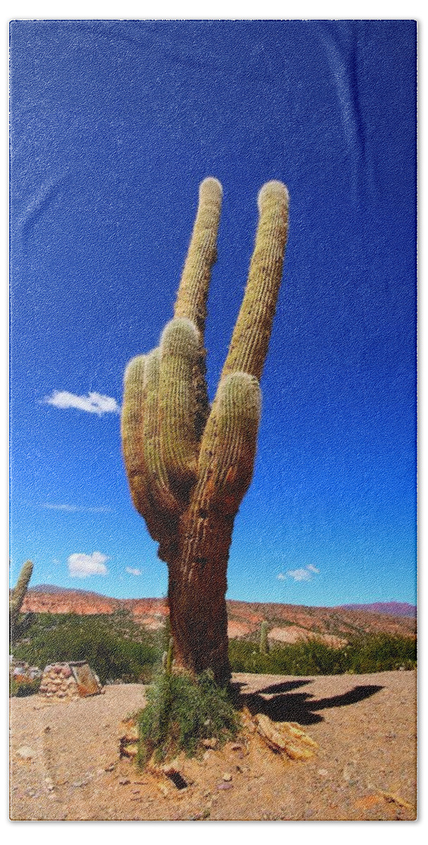 Cactus Bath Towel featuring the photograph Prickly Tower by FireFlux Studios