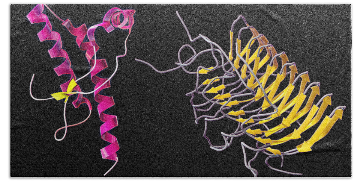 Bovine Spongiform Encephalopathy Bath Towel featuring the photograph Prion Isoforms by Evan Oto