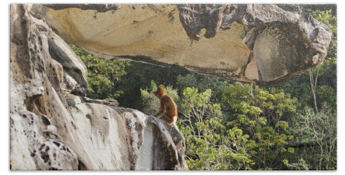Proboscis Monkey Hand Towel featuring the photograph Proboscis Cliff by Brian Kamprath