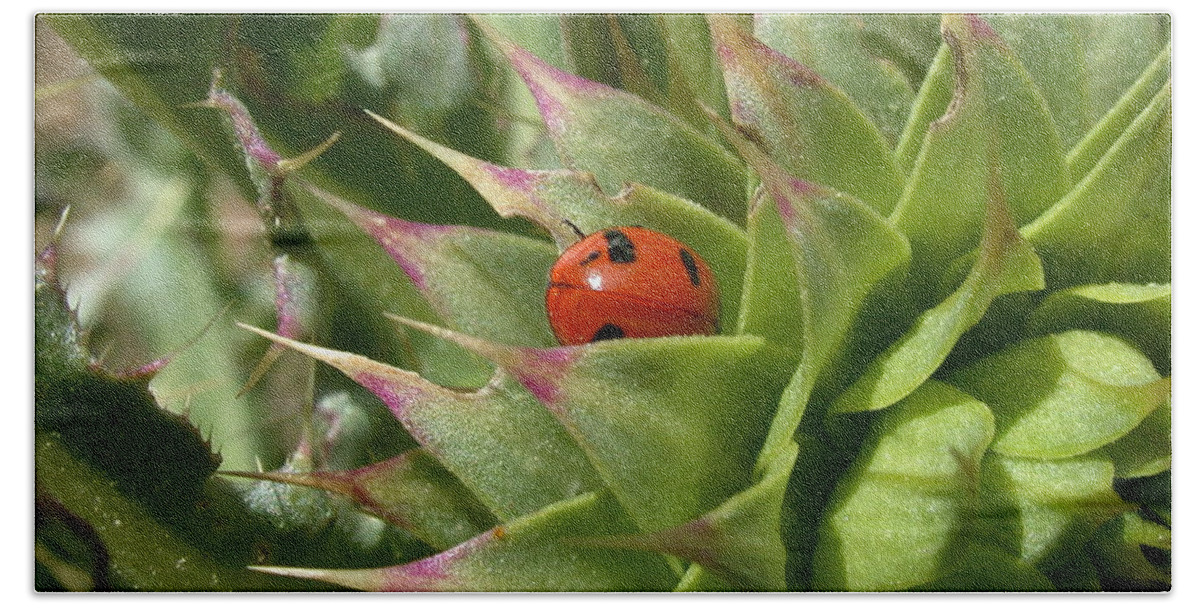 Ladybug Bath Towel featuring the photograph Protection by Shane Bechler