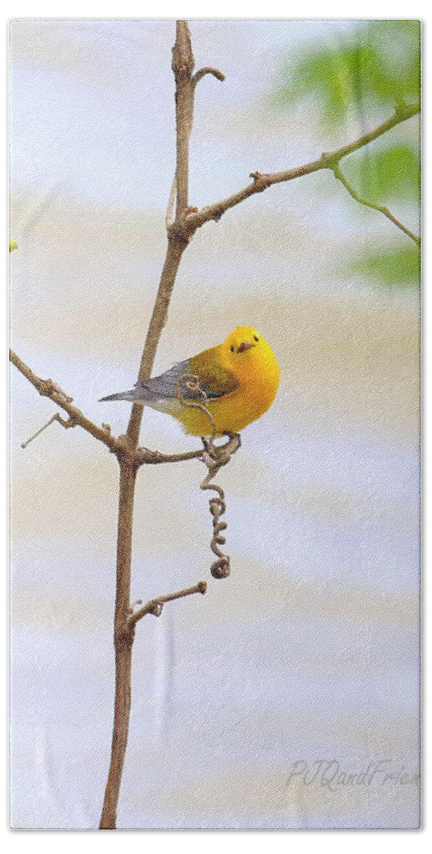 Prothonotary Warbler Hand Towel featuring the photograph Prothonotary Warbler by PJQandFriends Photography