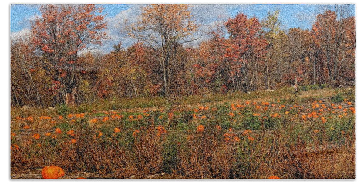 Sterling Ma Hand Towel featuring the photograph Pumpkin Patch at Rota Springs 2 by Michael Saunders