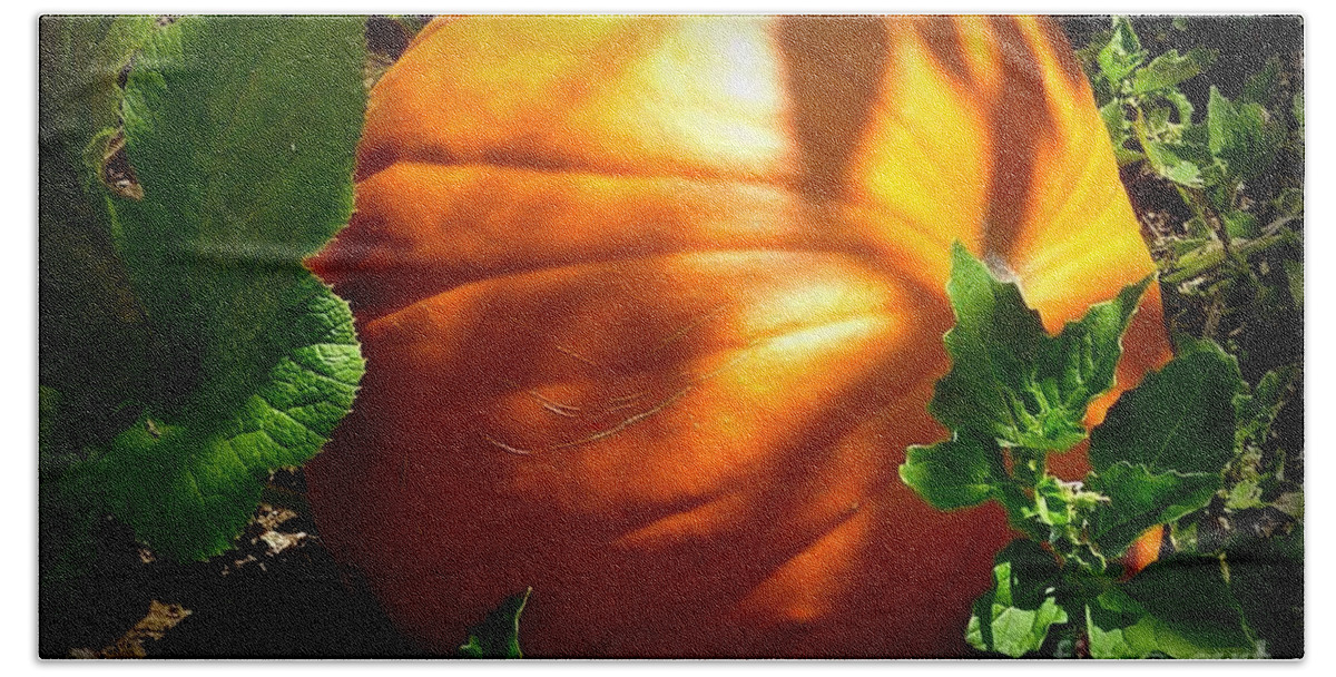 Fall Season Bath Towel featuring the photograph Pumpkin Shade by Susan Garren