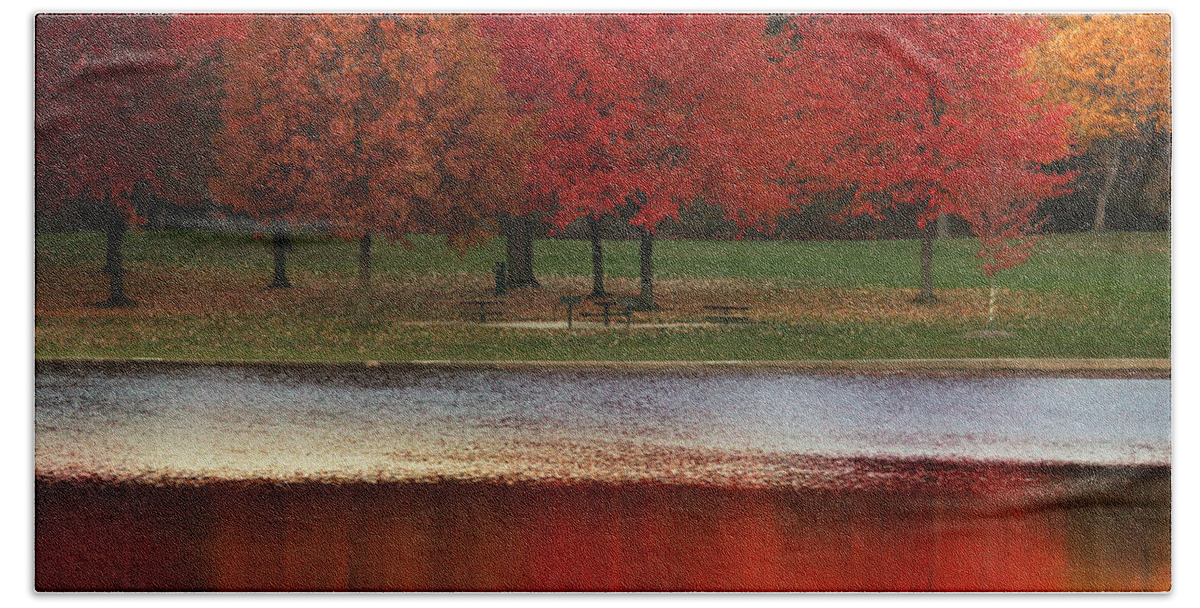 Red Trees Hand Towel featuring the photograph Pure Autumn by Rob Blair