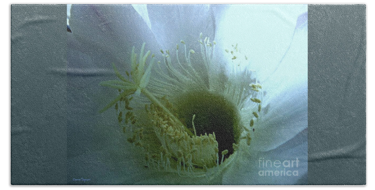 Cactus Flower Bath Towel featuring the photograph Purity by Leanne Seymour
