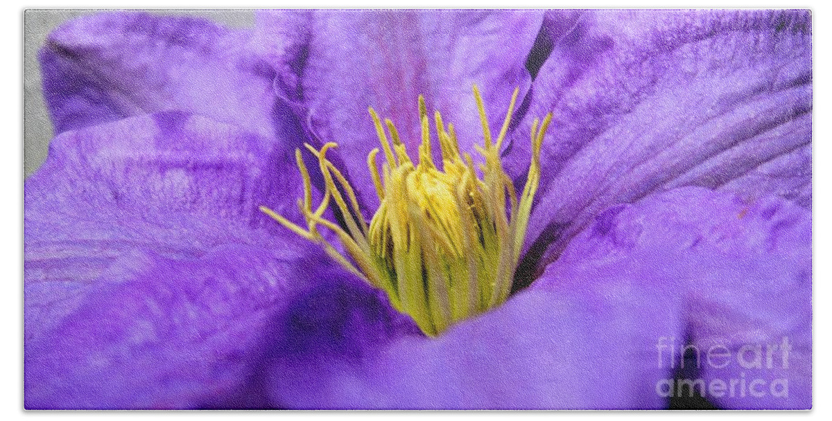 Clematis Bath Towel featuring the photograph Purple Elegance by Judy Palkimas