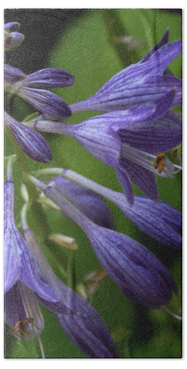 Landscape Bath Towel featuring the photograph Purple Flowers by Chauncy Holmes