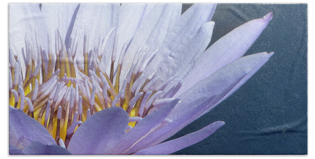 Flower Bath Towel featuring the photograph Purple Glory II by Marguerita Tan