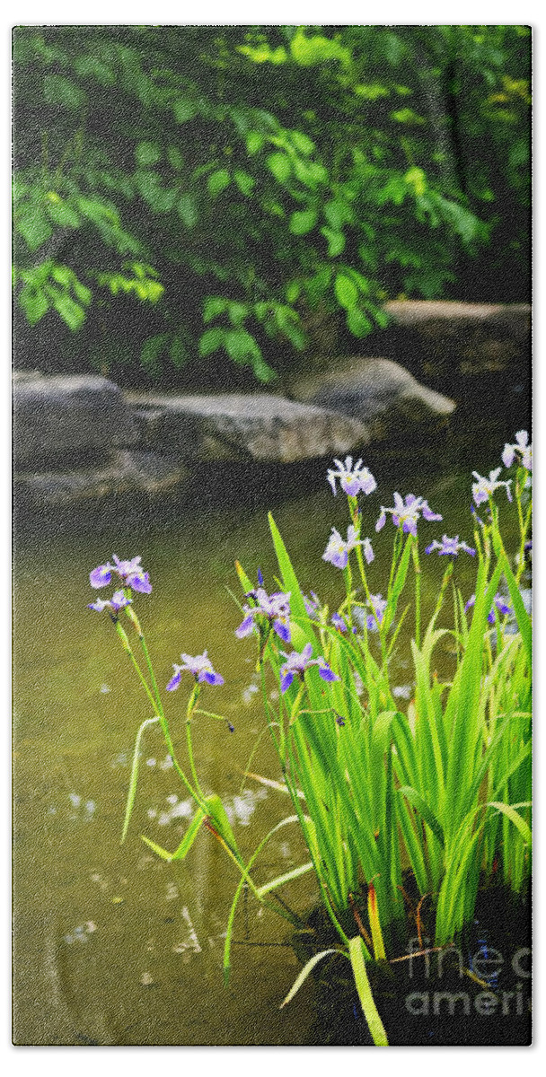 Garden Bath Towel featuring the photograph Purple irises in pond by Elena Elisseeva