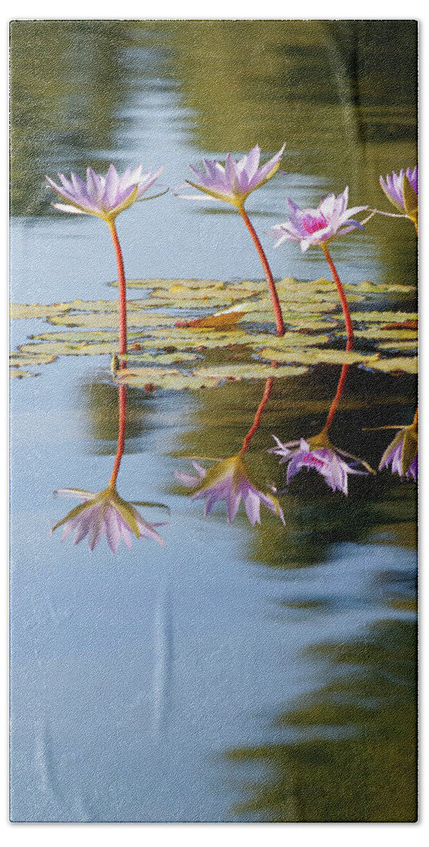 Lillies Bath Towel featuring the photograph Purple Lillies by Peter Tellone