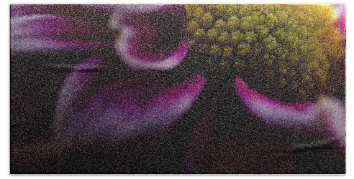Flower Hand Towel featuring the photograph Purple Mum Macro by Jim Shackett