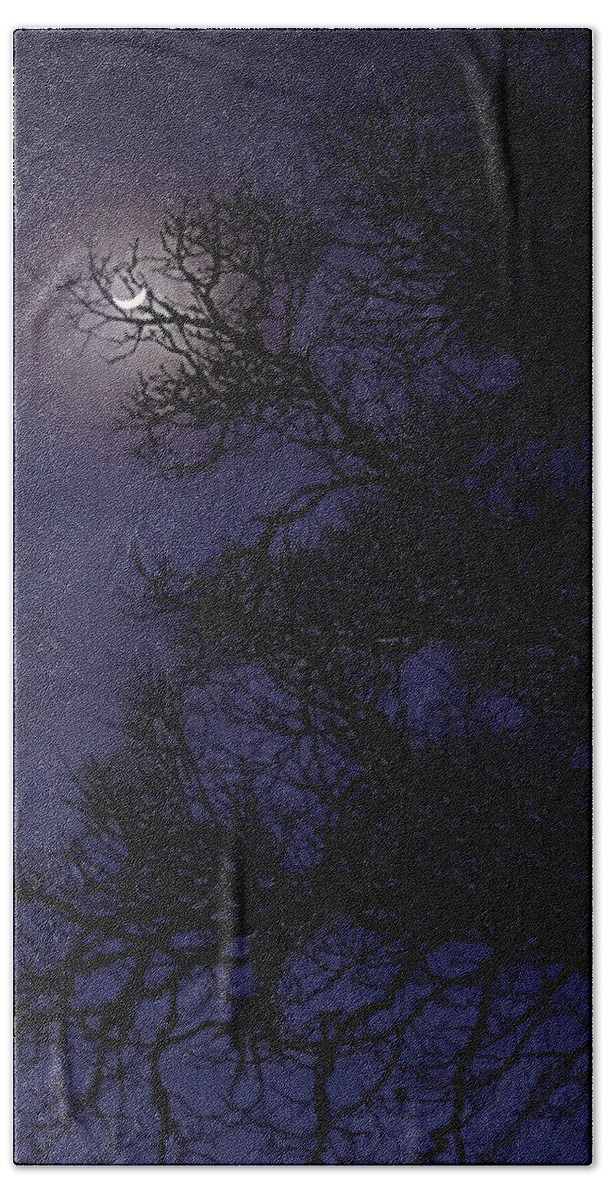 Moon Hand Towel featuring the photograph Purple Nights by Melanie Lankford Photography
