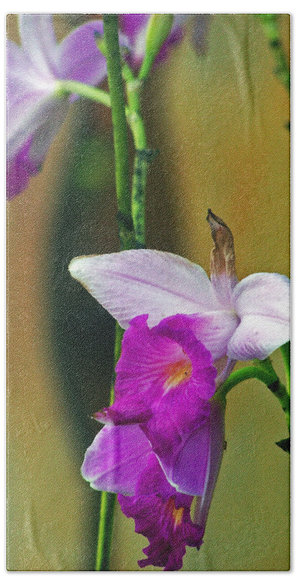 Flowers Bath Towel featuring the photograph Purple Orchid by Jennifer Robin