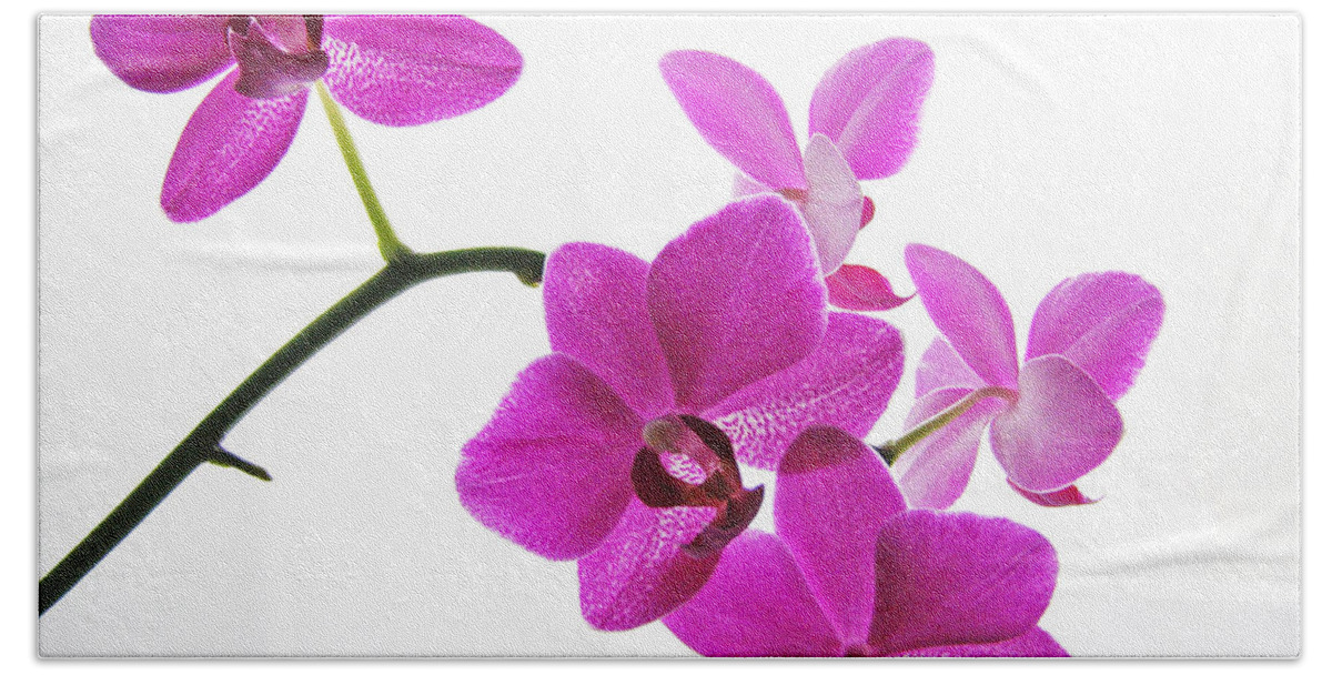 Orchid Bath Towel featuring the digital art purple orchids II by Jane Schnetlage