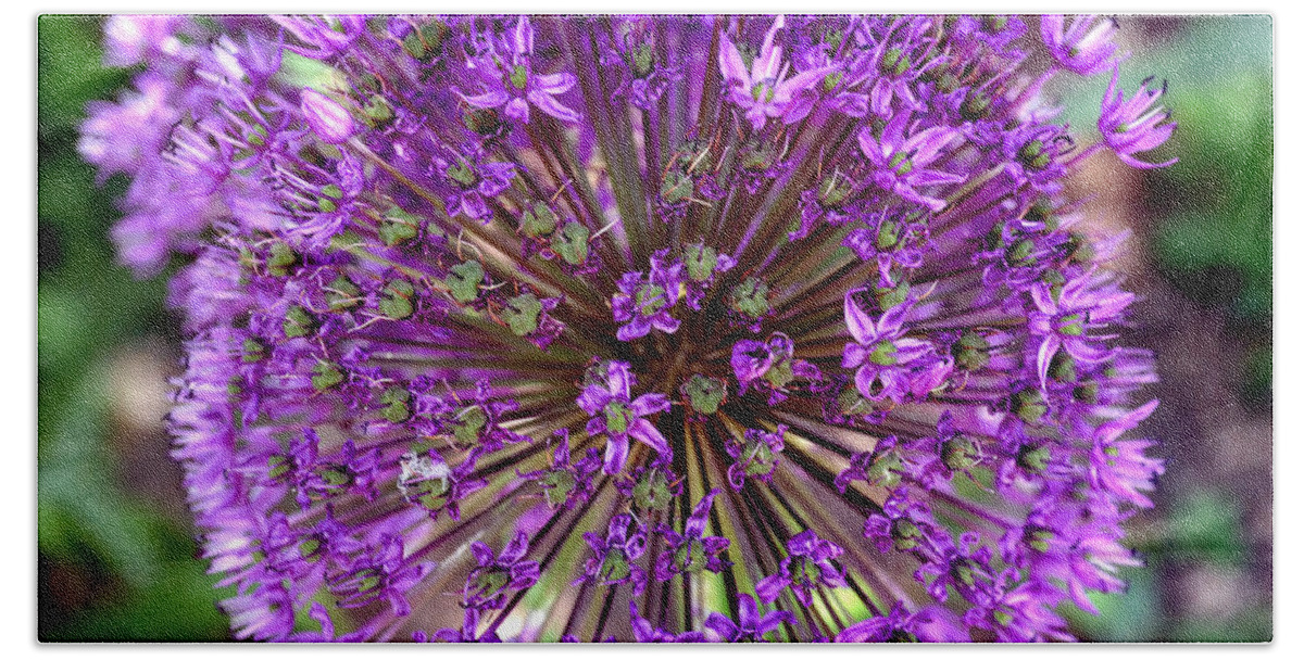 Allium Bath Towel featuring the photograph Purple Sensation Allium by Deena Stoddard