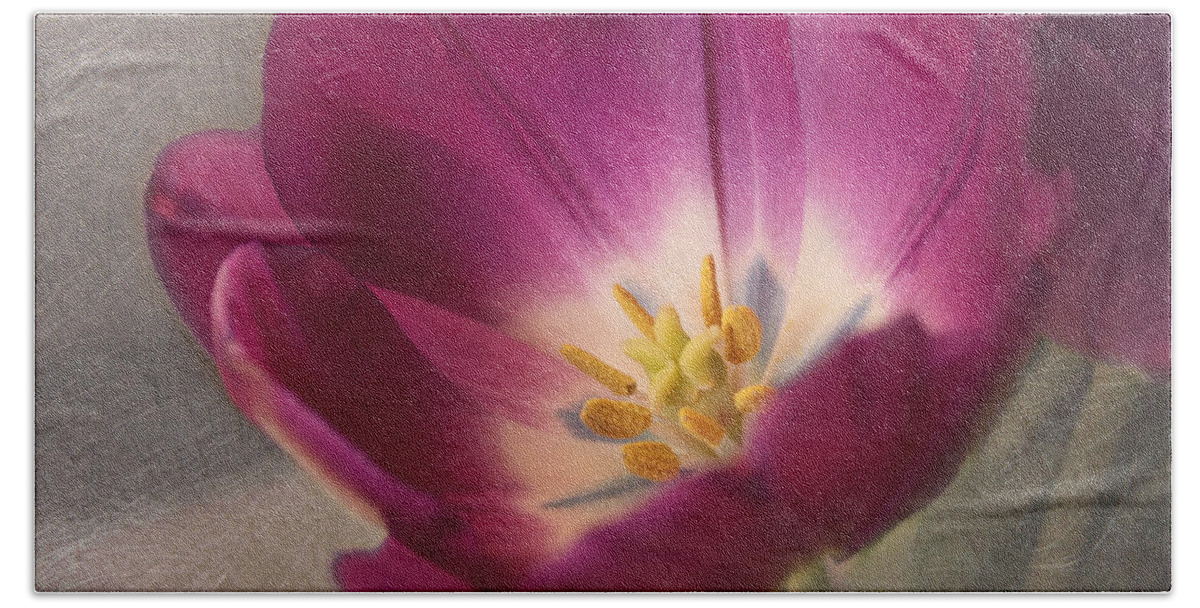 Purple Flower Bath Towel featuring the photograph Purple Tulip by Kim Hojnacki