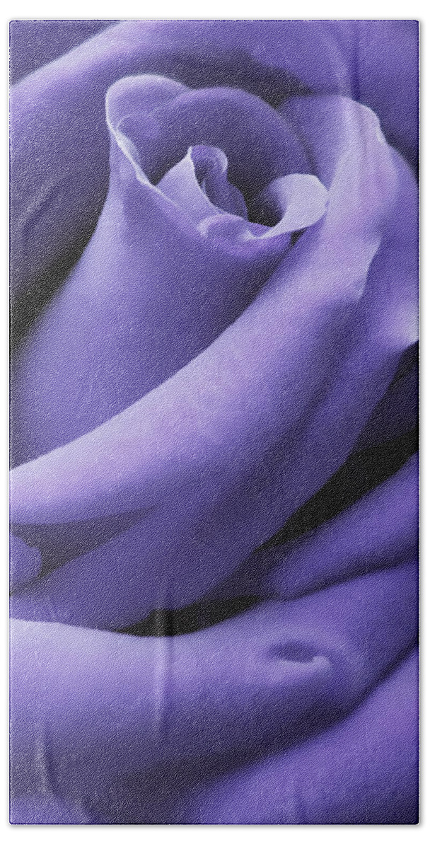 Rose Bath Towel featuring the photograph Purple Velvet Rose Flower by Jennie Marie Schell