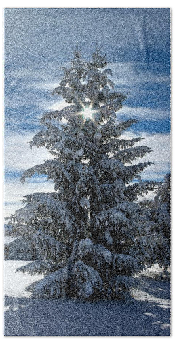 Christmas Trees Bath Towel featuring the photograph Put a Star on the Tree by David Andersen