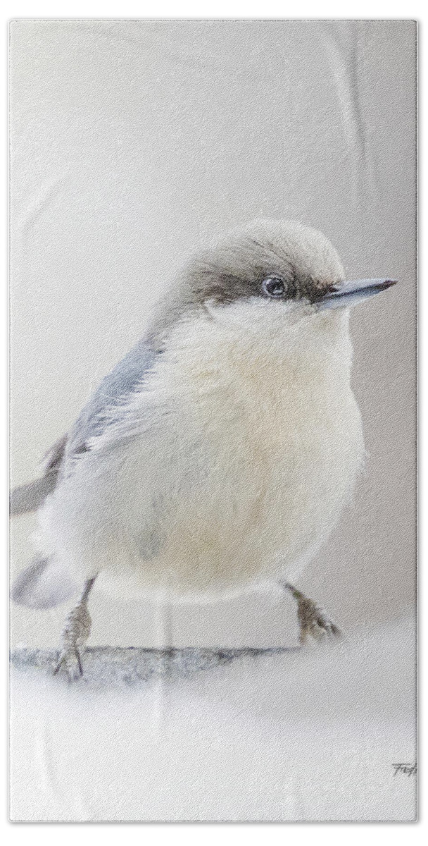 Bird Bath Towel featuring the photograph Pygmy Nuthatch by Fred J Lord