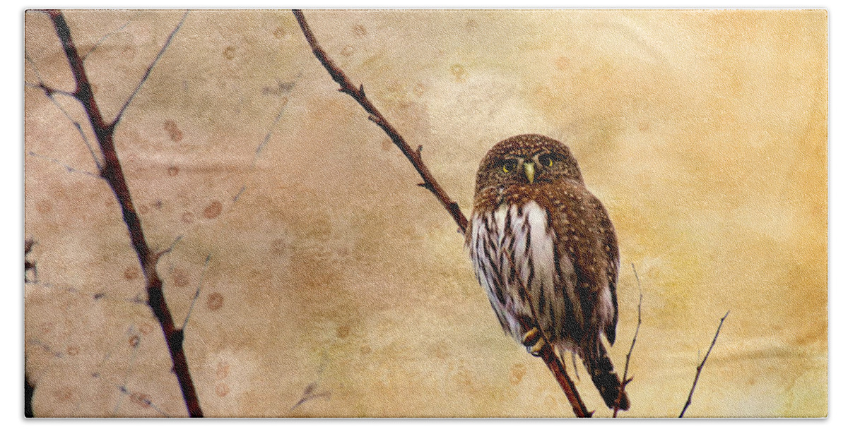 Owls Bath Towel featuring the photograph Pygmy Owl - The Watcher by Peggy Collins