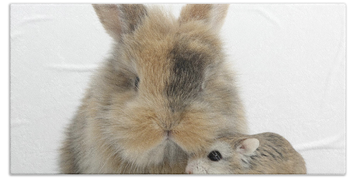 Roborovski Hamster Bath Towel featuring the photograph Rabbit With Roborovski Hamster by Mark Taylor