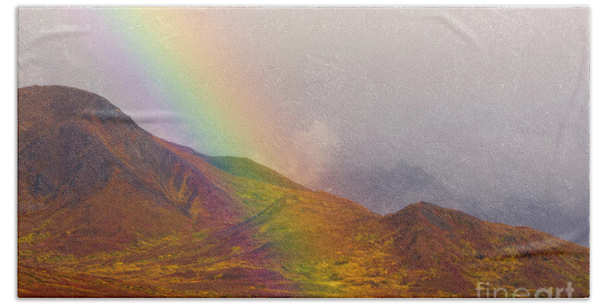 00431055 Bath Towel featuring the photograph Rainbow Over Fall Tundra in Denali by Yva Momatiuk John Eastcott