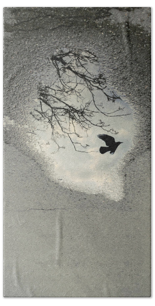 Crow Hand Towel featuring the photograph Raven reflection by Cambion Art