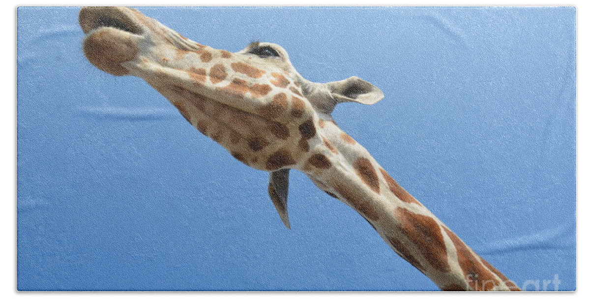 Giraffe Bath Towel featuring the photograph Reaching for the Sky by Randy J Heath