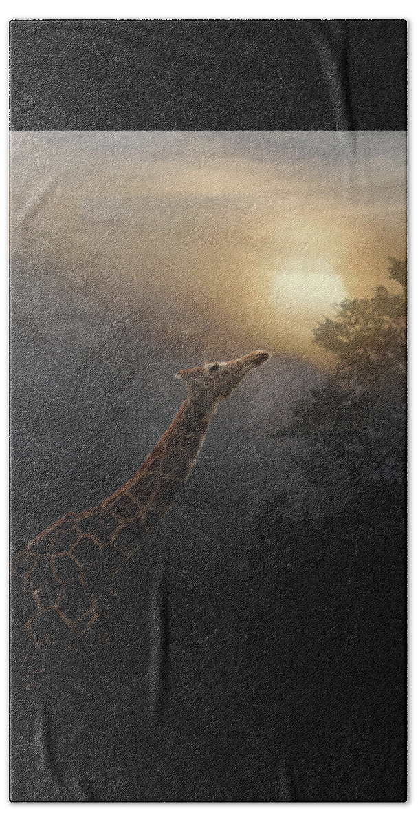 Giraffe Bath Towel featuring the photograph Reaching by Melinda Hughes-Berland
