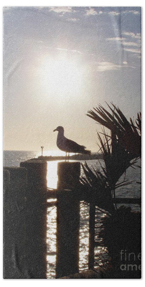 Seagull Bath Towel featuring the photograph Ready for Sunset by Bev Conover