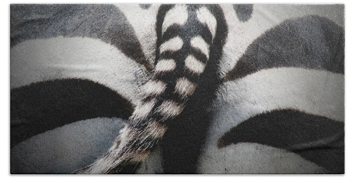 Zebra Hand Towel featuring the photograph Rear-end by Douglas Barnard