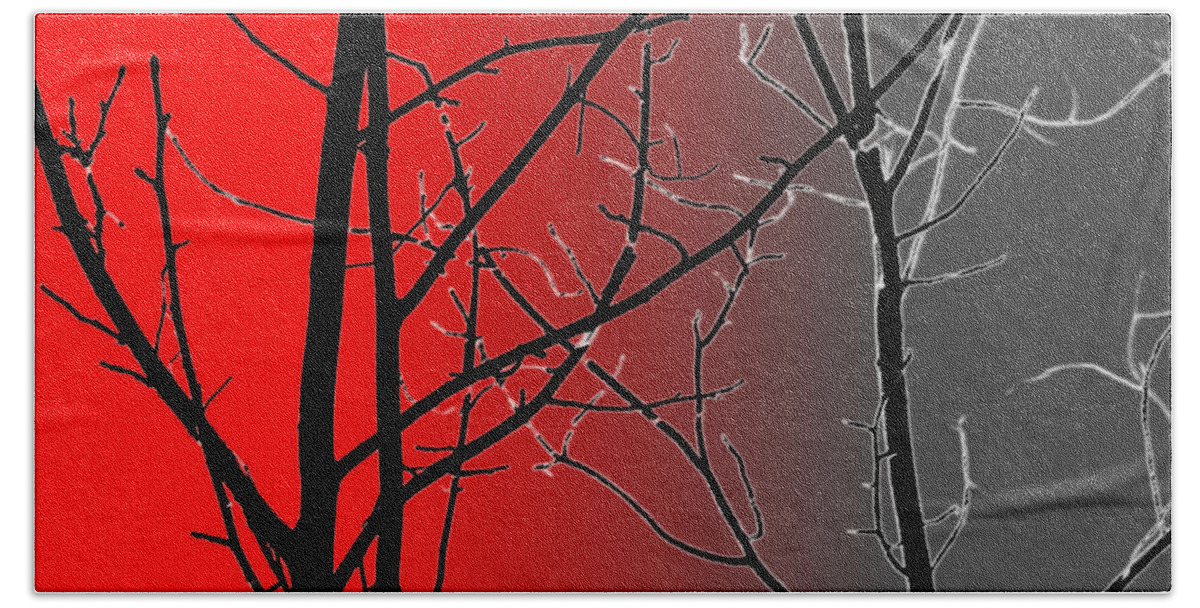 Branches Hand Towel featuring the photograph Red And Gray by Cynthia Guinn
