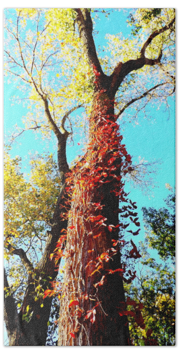 Red Creeper Bath Towel featuring the photograph Red Creeper by Darren Robinson