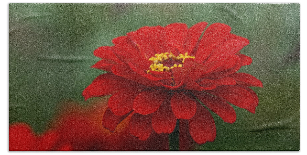 Red Bath Towel featuring the photograph Red Flower by Alan Hutchins