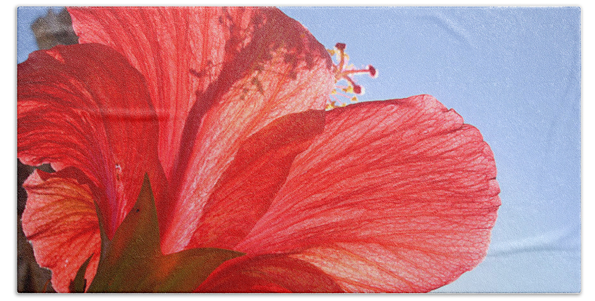 Red Bath Towel featuring the photograph Red Flower in the Sun by Jan Marvin Studios by Jan Marvin