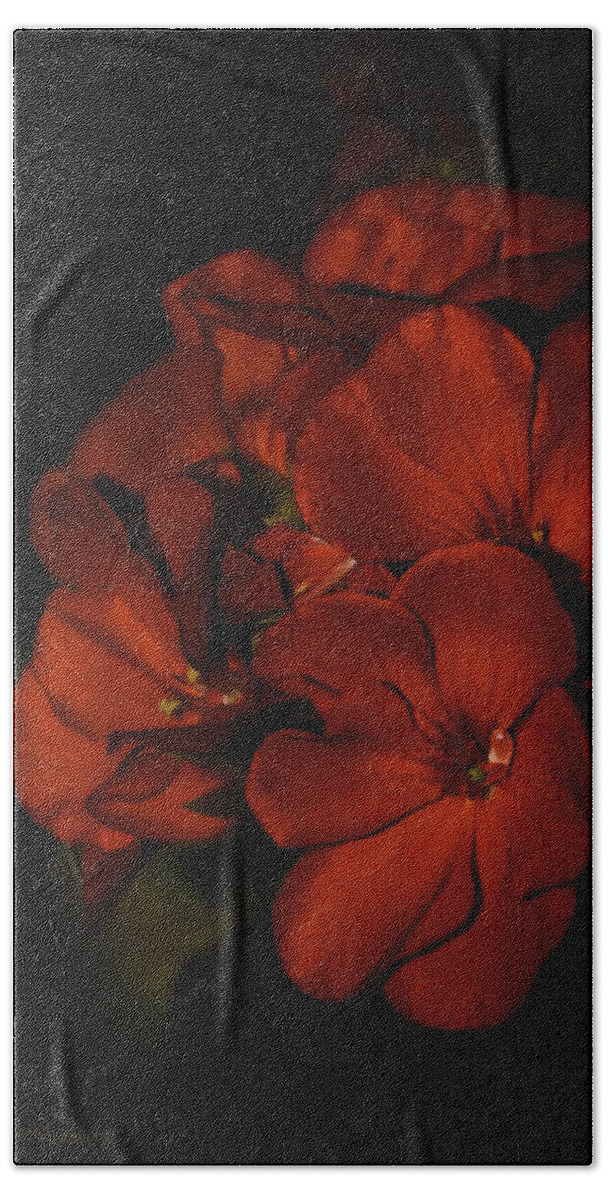 Red Hand Towel featuring the photograph Red Flowers in Evening Light by Lucinda Walter