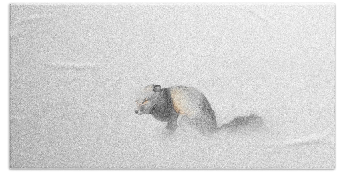 Yellowstone Bath Towel featuring the photograph Red Fox in Winter Storm by Bill Cubitt