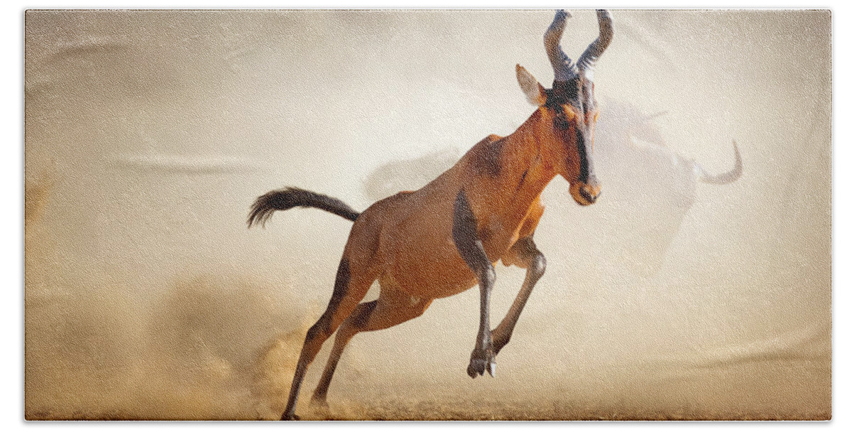 Hartebeest Hand Towel featuring the photograph Red hartebeest running in dust by Johan Swanepoel