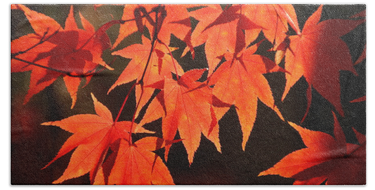 Japanese Maple Tree Bath Towel featuring the photograph Japanese Maple Leaves in Fall by Valerie Collins