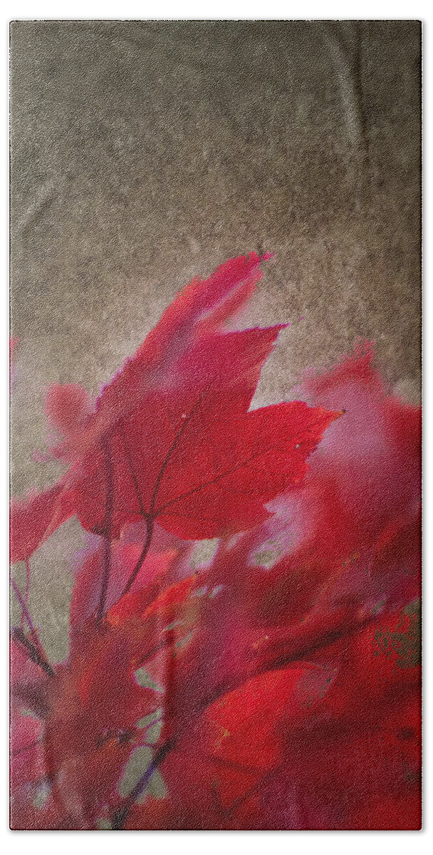 Artistic Fall Colors Bath Towel featuring the photograph Red Maple Dreams by Jeff Folger