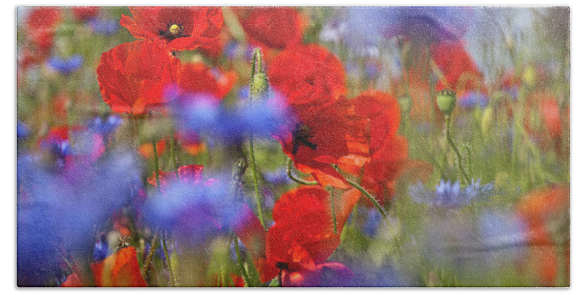 Poppy Bath Towel featuring the photograph Red Poppies in the Maedow by Heiko Koehrer-Wagner
