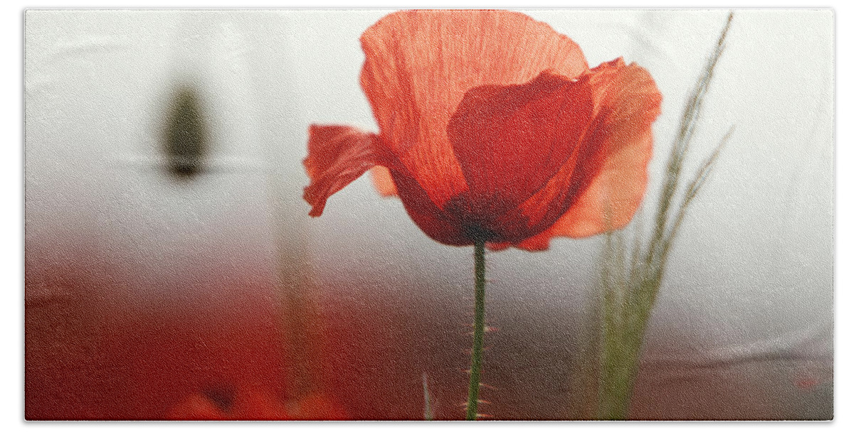 Poppy Hand Towel featuring the photograph Red Poppy Flowers by Nailia Schwarz